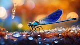 vibrant blue dragonfly perched on dewy surface against a colorful nature background