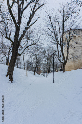 snowed fairy view of park in winter with trees and medieval tower
