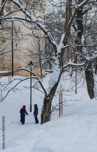 tow people women talking in snowed fairy view of park in winter with trees and medieval tower