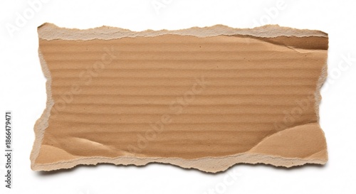 Torn cardboard piece isolated on white background for design elements