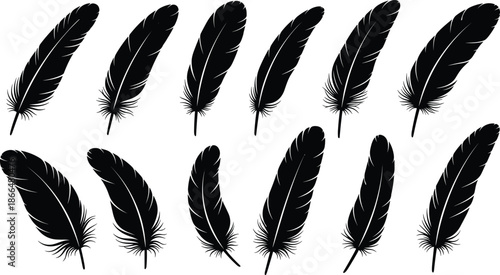 Black feather silhouettes collection in various shapes and angles, minimalist flat vector illustration for boho design, nature themes, decorative elements, and branding use