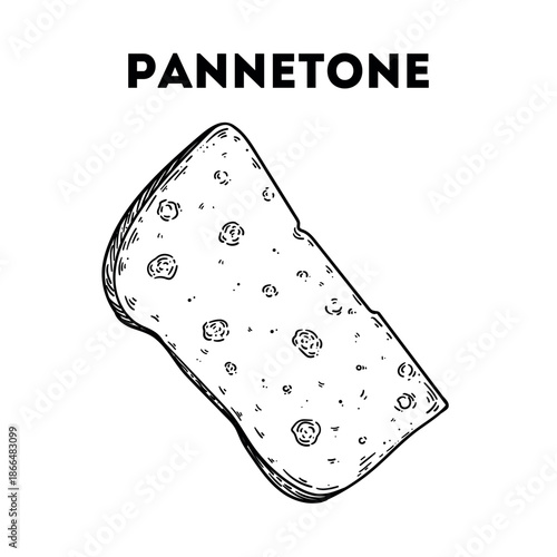 Panettone sketch. Vector drawing illustration. Italian food. Italian cuisine. Hand drawn. Top view. Not AI Generated.