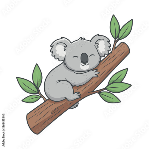 Cute koala bear napping soundly on tree branch with eucalyptus leaves illustration