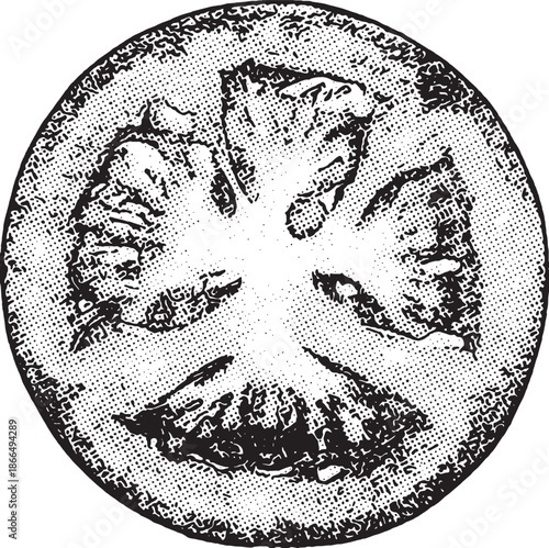 Halftone Style Sliced Tomato Cross Sectiona tomato slice cross-section. Features a unique halftone dot pattern and stippled texture highlighting the internal seeds and pulp.