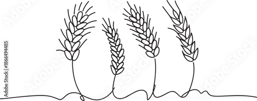line drawing of three wheat stalks on white background
