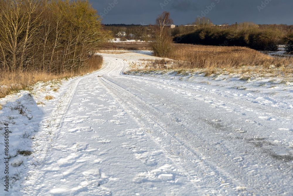 Fototapeta premium Frozen rural road in winter daylight landscape.