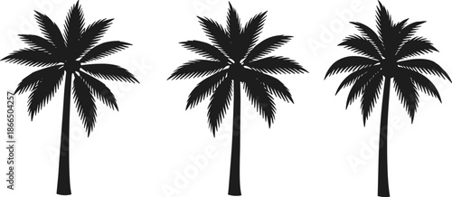 Black palm tree silhouettes set featuring tropical nature icons for summer beach island themes minimalist vector illustration design