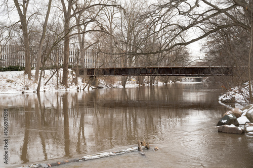 Winter Reflections on Red Cedar River with Copy-Space