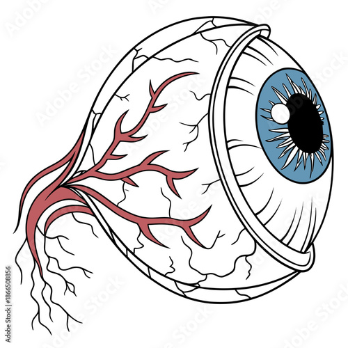 Isolated cartoon illustration depicting a detached human eyeball with visible blue iris and prominent red blood vessels on the sclera ready for anatomical study or graphic design.