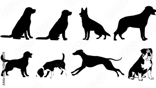 Various dog silhouettes in different poses isolated on white background, Vector