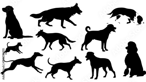 Variety of dog silhouettes isolated on white background, Vector