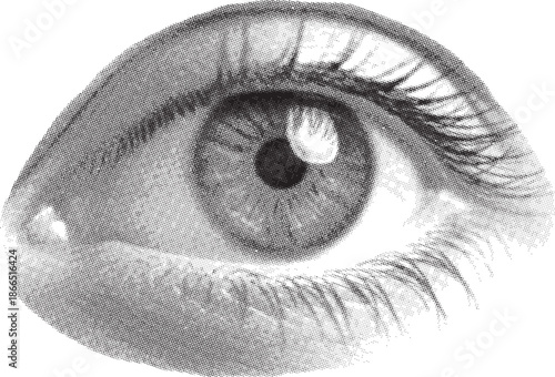 Vintage stippled illustration of a human eye with visible iris and pupil