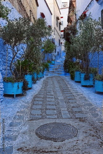 Passageway in the medina painted in several shades of blue with some white, lined with metal planters containing green plants. Chefchaouen-Morocco-025