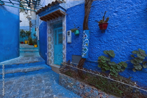Stepped pedestrian passageway under pergola linking different levels of the medina, painted as is customary in shades of blue. Chefchaouen-Morocco-029