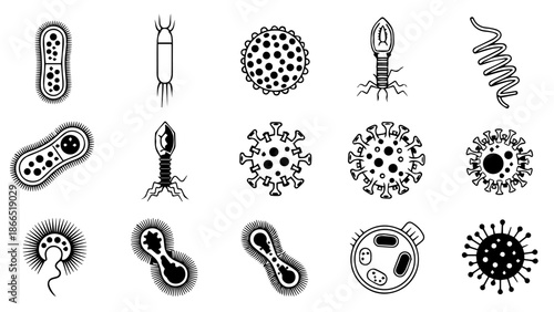 Various types of bacteria illustrations isolated on white background, Vector