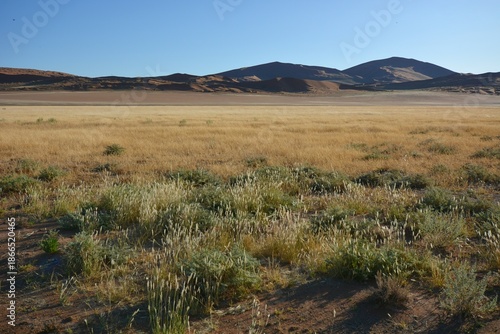 Sandwüste im Namib-Naukluft-Nationalpark in Namibia