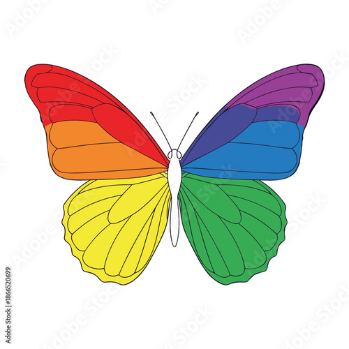 Colorful butterfly illustration