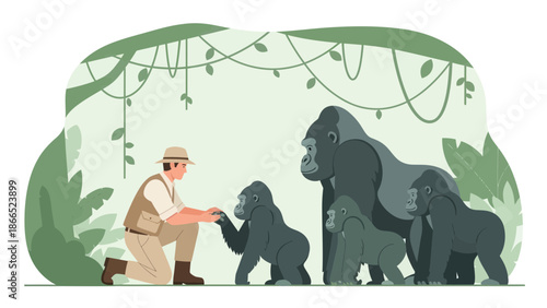 Gentle Encounter A Man Meets Gorilla Family In A Lush Tropical Forest