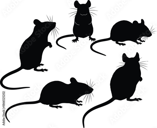 Five rats in a circle Vector