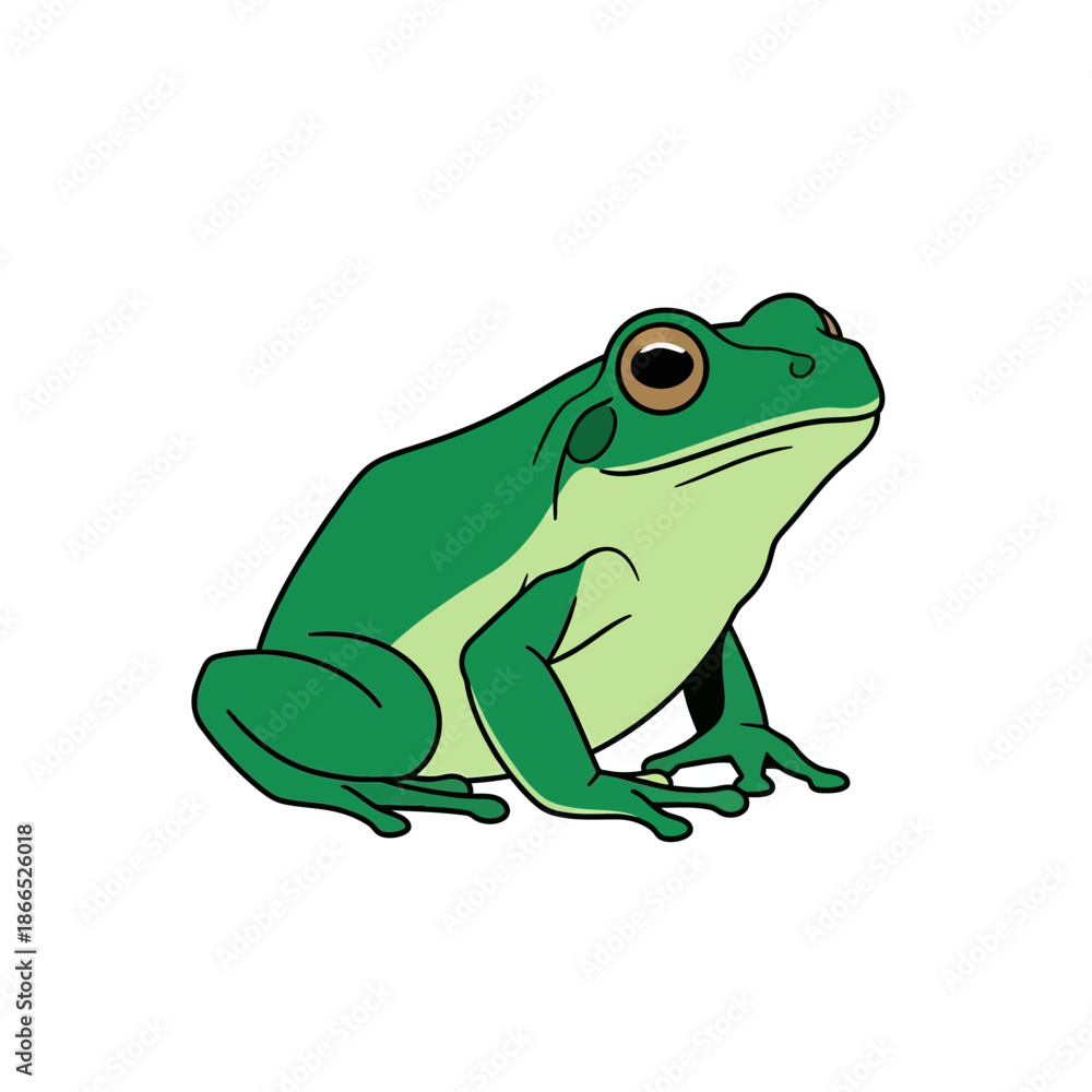 Fototapeta premium Green Frog Illustration - Cute Amphibian Animal Cartoon