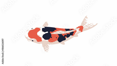 Colorful Koi Fish Swimming Isolated on White Background, Japanese Carp Art