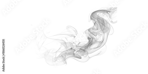 Billede på lærred Graceful ethereal white smoke art swirls on deep black abstract mystery fluid va