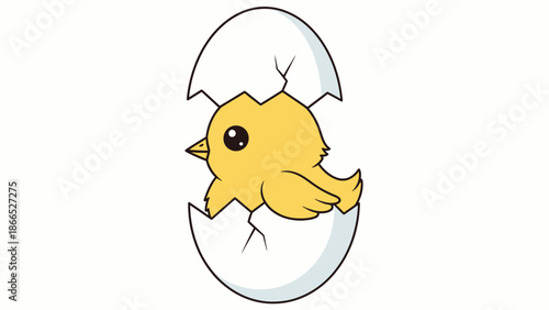 Cute baby chick hatching from cracked egg, isolated on white background