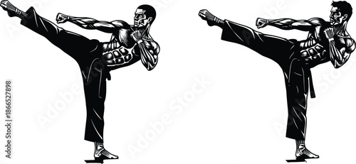 martial, arts, kick, silhouette, pose, gesture, uniform, belt, black, white, icon, illustration, vector, design, symbol, dynamic, strength, technique, combat, discipline