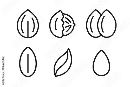 Nut Line Icons. Line style icons of Nut: whole nut, cracked nut, nut pair, oval shell, curved husk, simple kernel shape. No text,
