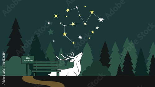 Enchanted Night Deer Gazing At Constellation In Forest With Trail Rest Point