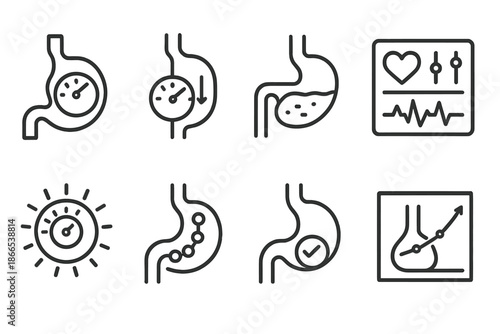 Avian Metabolic System Icons. Line style icons of avian metabolic systems: gizzard torque meter, respiration flow gauge, crop