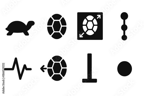 Armored Geometry Icons. Solid style icons of armored geometry tracking: turtle silhouette, shell segments, calculation lines, data