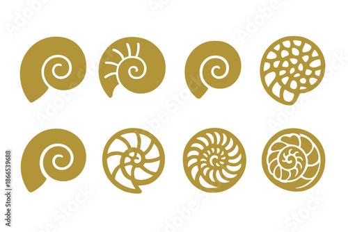 Microscopic Shell Artistry. Solid style icons of microscopic shells in golden ratio art: spiral shell fractal, golden swirl fossil