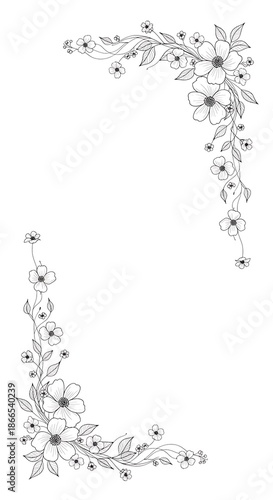 Delicate black and white line art illustration of two diagonal floral corners featuring blooming flowers, buds, and leaves.