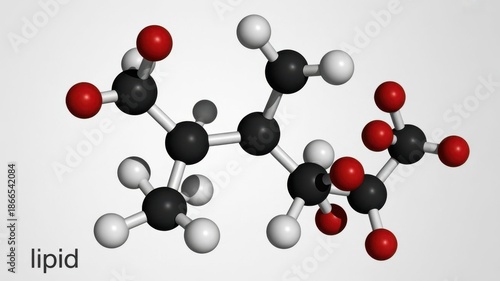 Lipid Molecule Structure