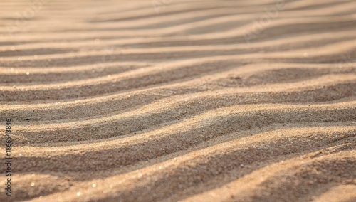 Fine sand ripple