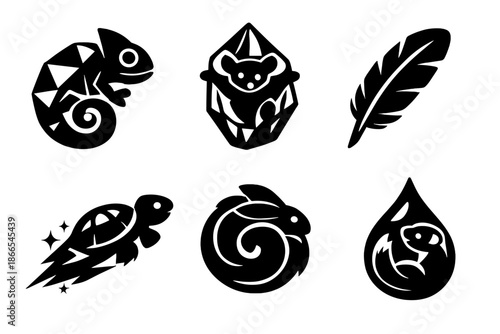 Exotic Pets Icons. Solid style icons of Exotic Pets: chameleon prism, sugar glider crystal, parrot feather, tortoise comet, rabbit
