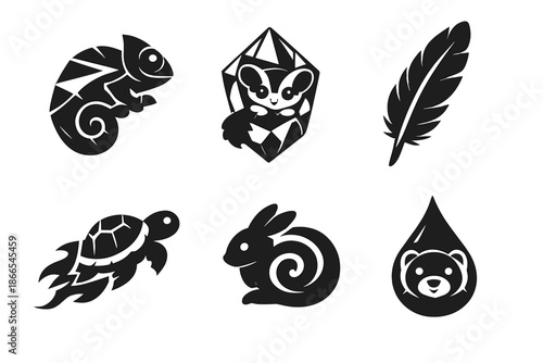 Exotic Pets Icons. Solid style icons of Exotic Pets: chameleon prism, sugar glider crystal, parrot feather, tortoise comet, rabbit