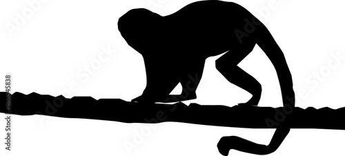 silhouette of a woman with surfboard