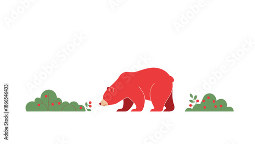 Crimson Bear Foraging Berries Among The Bushes Isolated On White Background