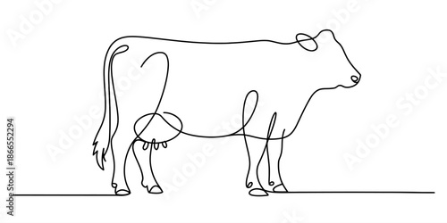 Continuous line art drawing of a cow standing on a white background Vector, illustration