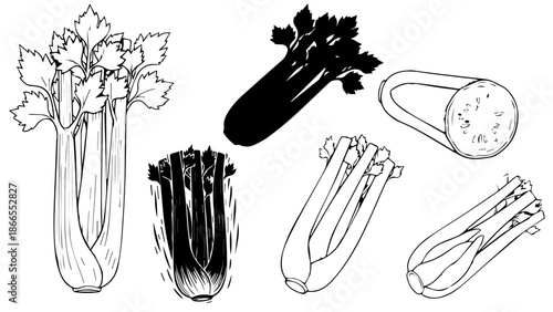 Assorted kitchen utensils and gadgets isolated on white background, Vector