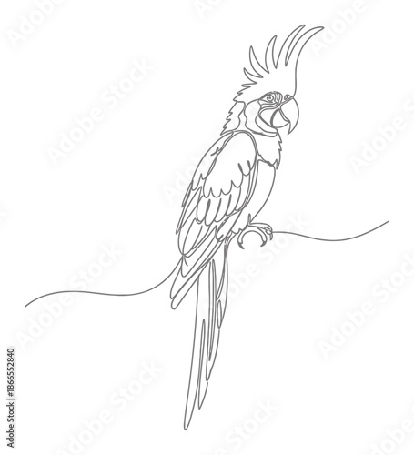 Exotic Parrot Line Art - Minimalist Bird Illustration