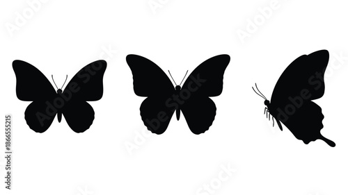 Three black butterfly shapes arranged linearly a striking silhouette