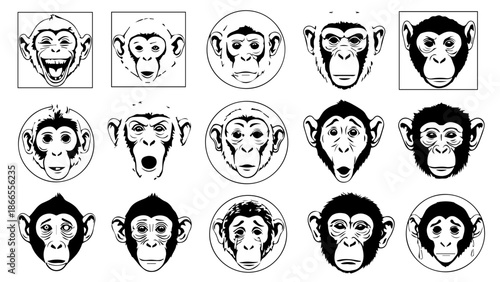 Collection of monkey faces in various expressions isolated on white background, Vector