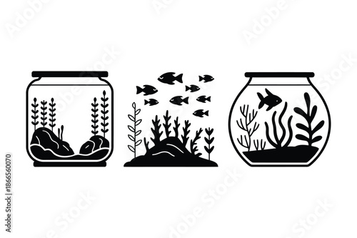 Various Aquarium and Fish Tank Designs with Aquatic Plants