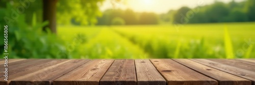 Empty wooden tabletop, out-of-focus farm scene , rustic, outdoor, surface