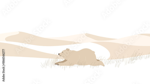 Bear Relaxing In The Tranquil Desert Landscape Underneath The Bright Sunlight