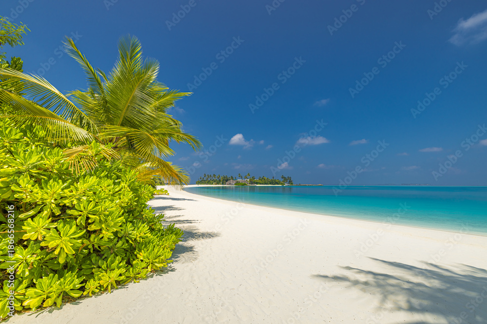 Naklejka premium Picturesque summer tourism. Relaxing exotic tropical beach Maldives. Popular white sand green palm tree turquoise ocean water sunny sky horizon island vacation paradise luxury travel nature background