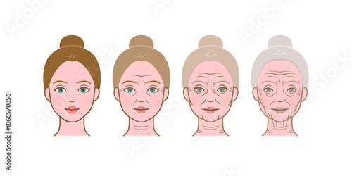 Female aging progression in four illustrated stages from youth to old age with bun hairstyle.